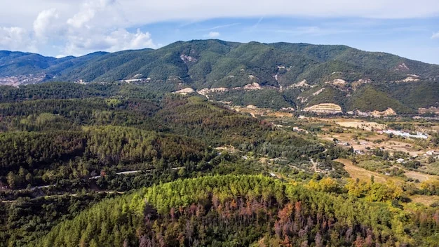 A Itália virou floresta: pela primeira vez desde a Idade Média, as matas superam as terras agrícolas