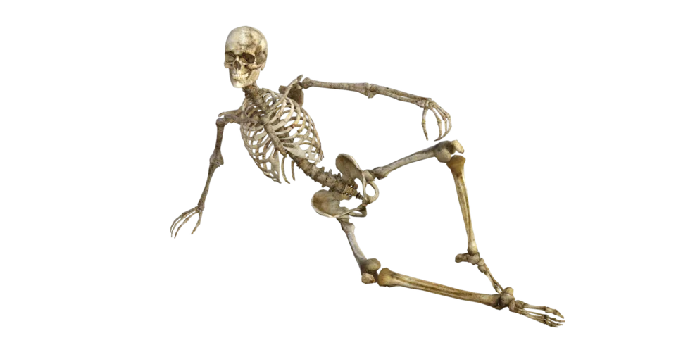 O corpo humano pode se regenerar como uma salamandra — e as cicatrizes podem ser o que está nos impedindo