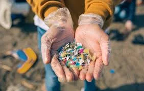 Jovens cientistas transformam tamarindo em solução promissora contra microplásticos